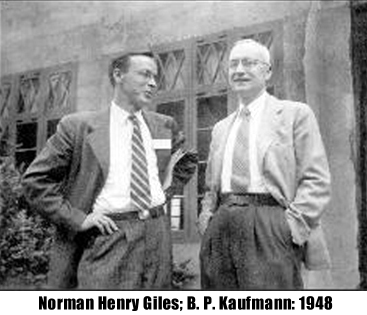 Norman Henry Giles, B.P.Kaufmann 48
